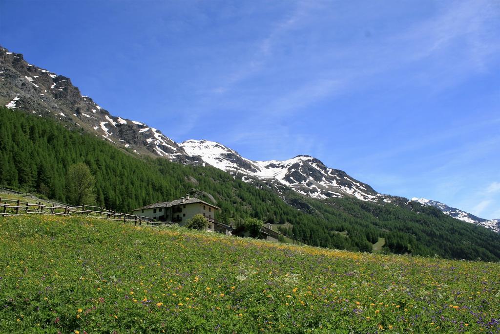 Maison Des Myrtilles Hotel Валгризенке Екстериор снимка